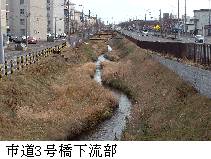 市道3号橋下流部
